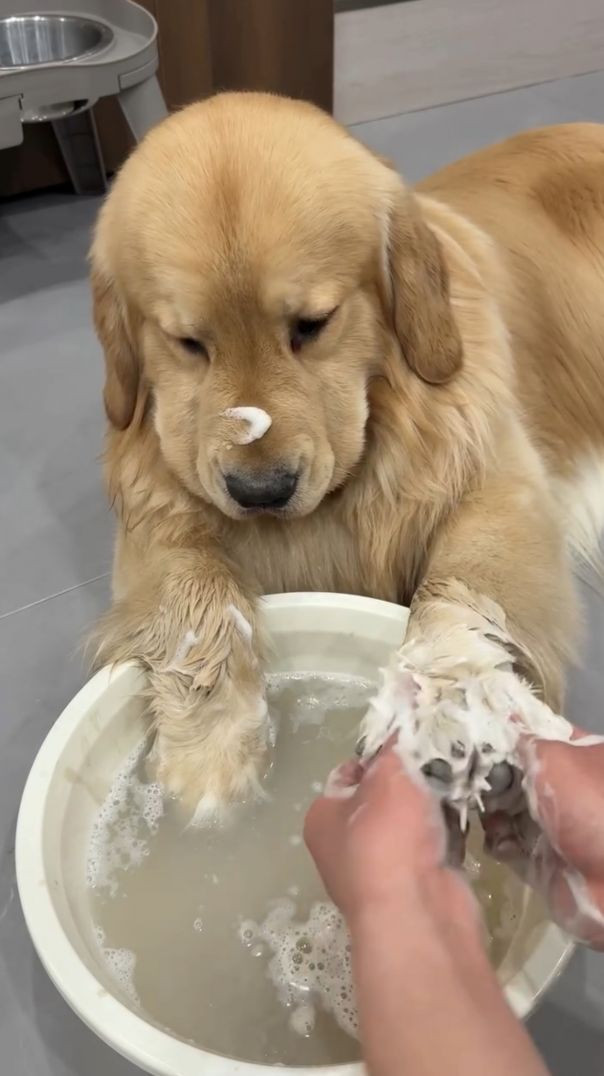 Cuteee 🐶🐾