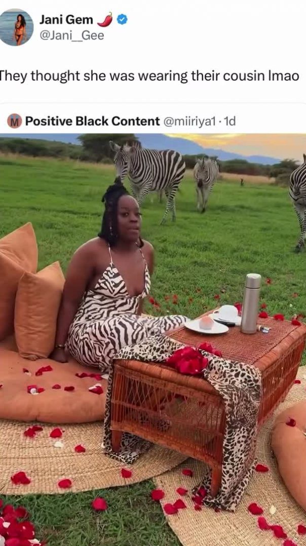 I love zebras 🦓 🥰