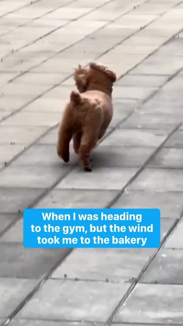 It was not my fault ooo the wind happened 🤣