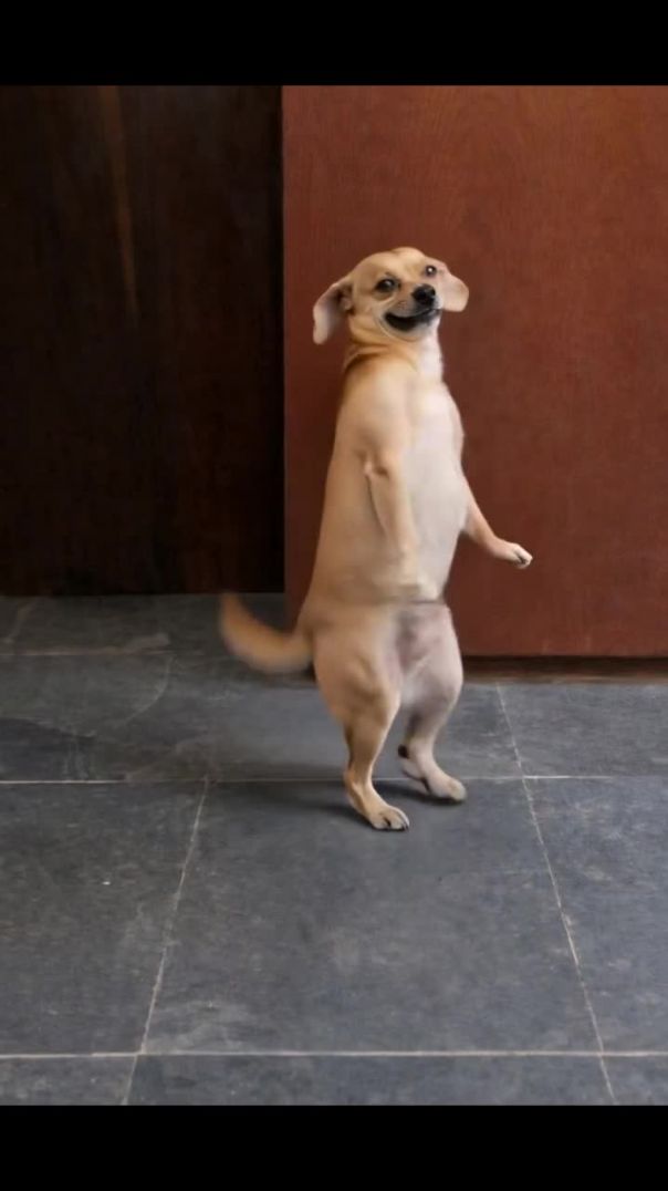 Why oooo 😂😂😂