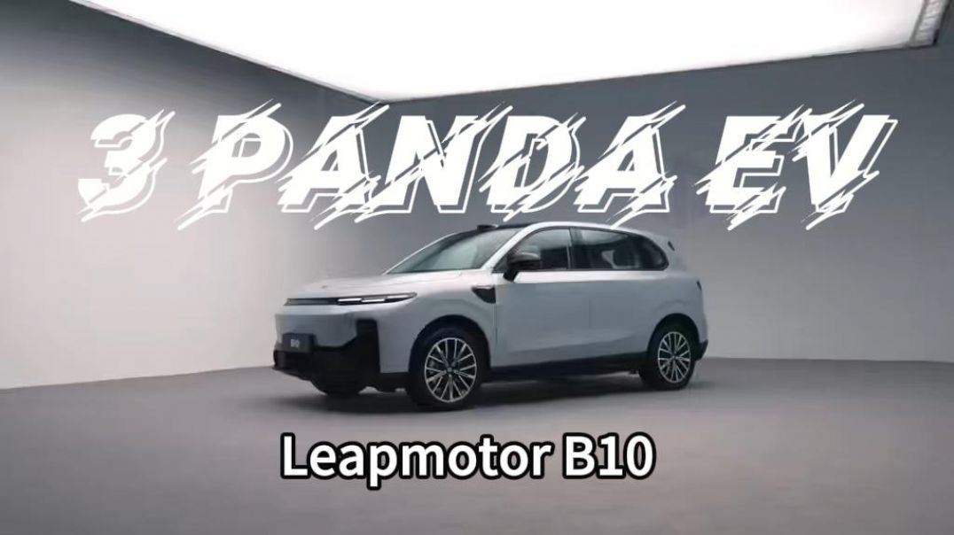 Leapmotor B10 from 3Panda EV