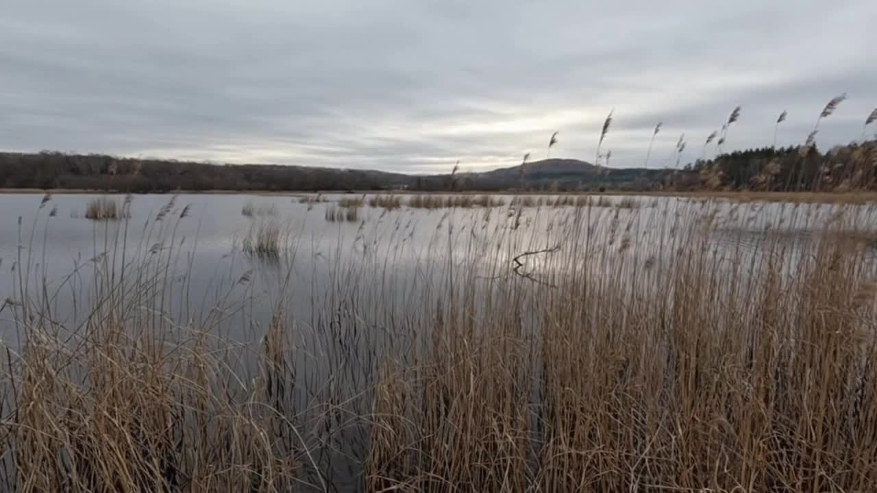 Experiencing a Quiet Overcast Moment Through Steady Observation and Natural Atmosphere