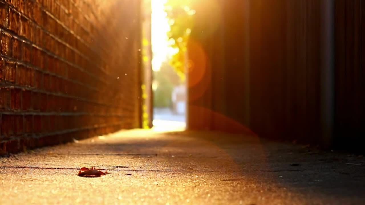 A Brief Sunlit Moment Captured in Motion, Where Light and Atmosphere Tell a Quiet Story