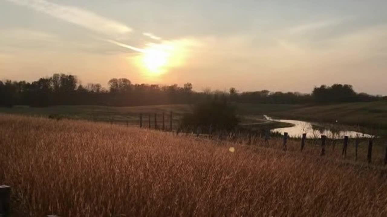 A Quiet Golden Pause Where Nothing Happens and Stillness Takes the Lead