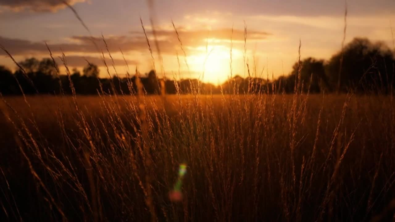 A Quiet Golden Hour Moment That Unfolds Slowly, Letting Light, Motion, and Atmosphere Speak for Them