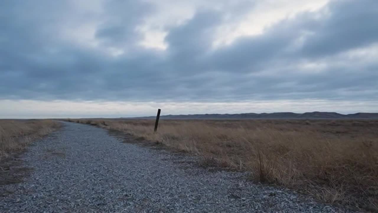Experiencing a Quiet Moment of Motion and Mood in a Minimal, Immersive Frame
