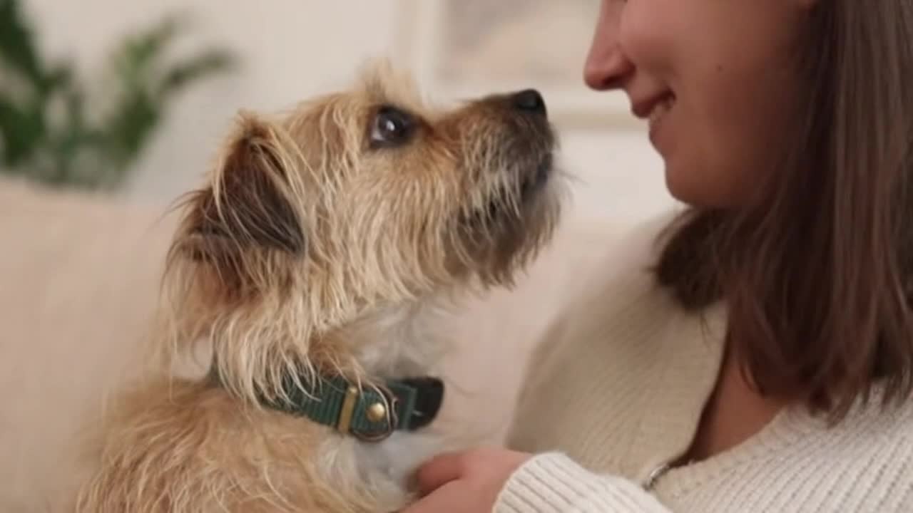 A Sweet and Funny Split-Second Between a Cute Dog and Its Human That Feels Instantly Relatable