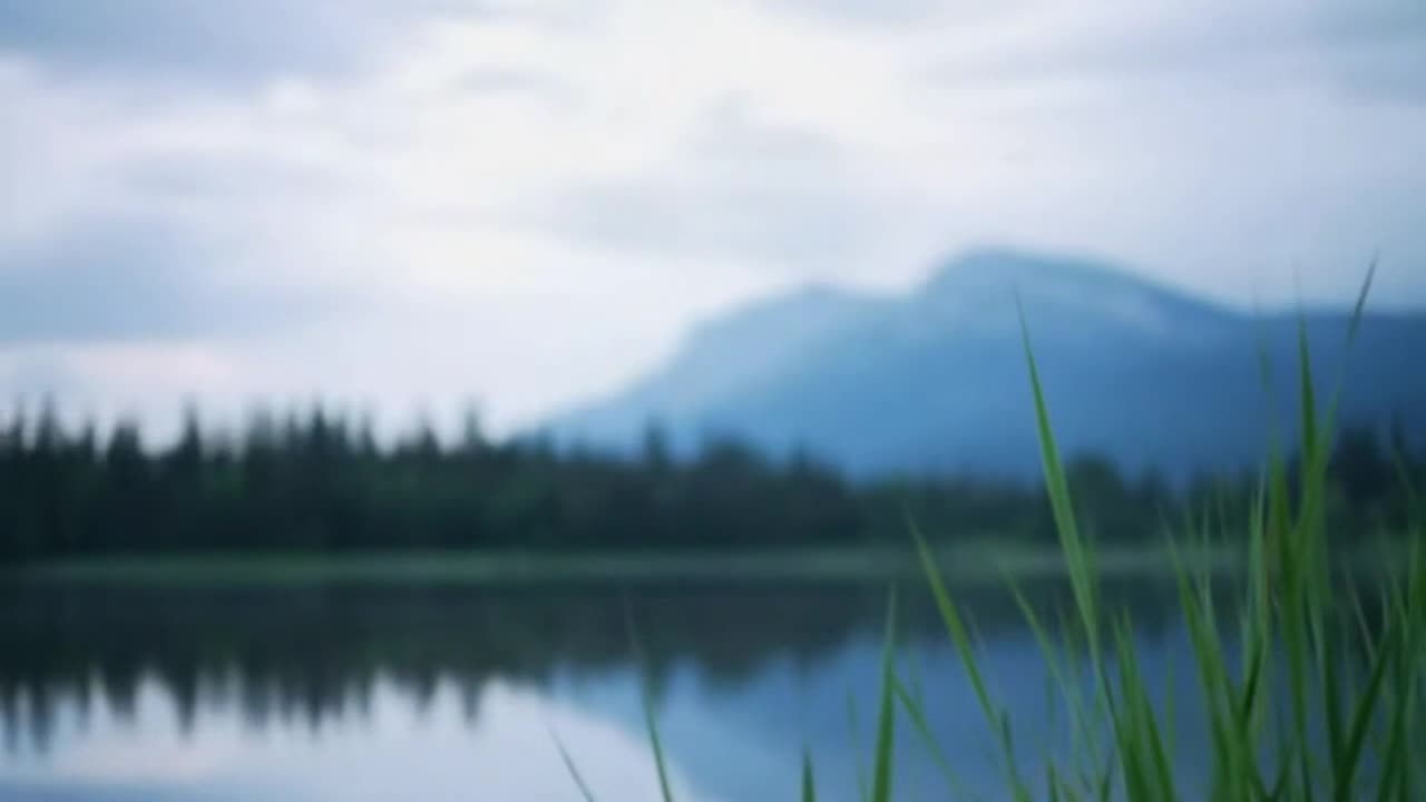 Creating a Welcoming Community Through Positive, Respectful Conversations Everyone Can Enjoy