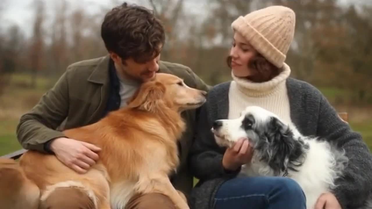 Cute and Funny Dogs Sharing a Sweet, Playful Moment With Their Human Owners