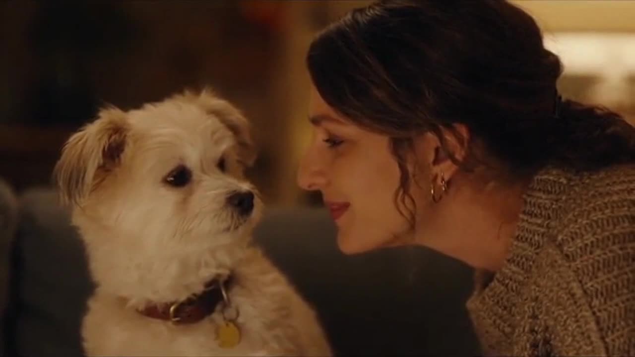A Soft, Funny Moment as a Cute Dog and Its Owner Share a Perfectly Timed Reaction