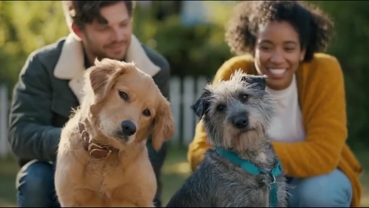 Cute Dogs and Their Humans Sharing a Small, Funny Moment in Everyday Life