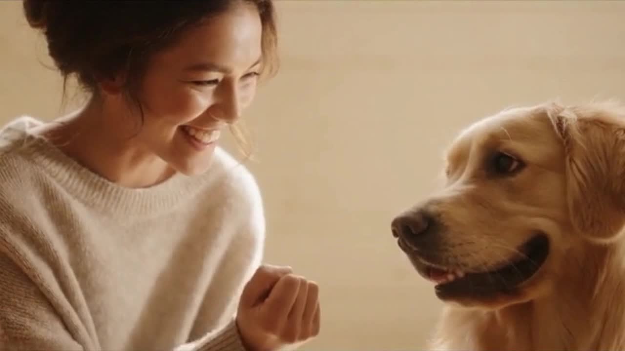 A Sweet and Funny Moment Between a Cute Dog and Their Owner That Feels Instantly Relatable