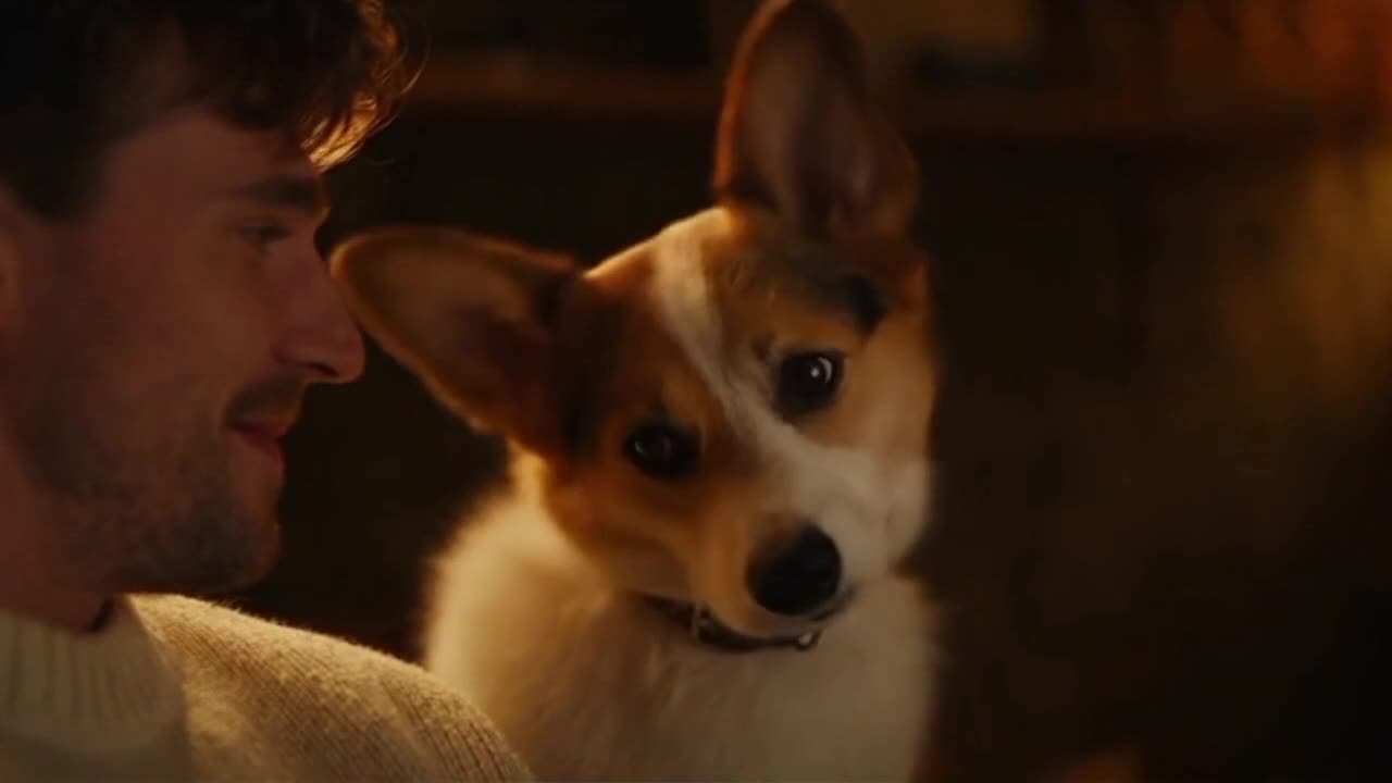 A Quietly Funny Moment Between a Cute Dog and Its Human Owner Captured in Soft Light