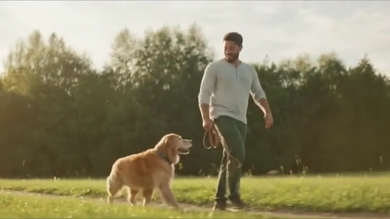 Cute Funny Dogs and Their Owners Sharing Playful Everyday Moments in Soft Daylight