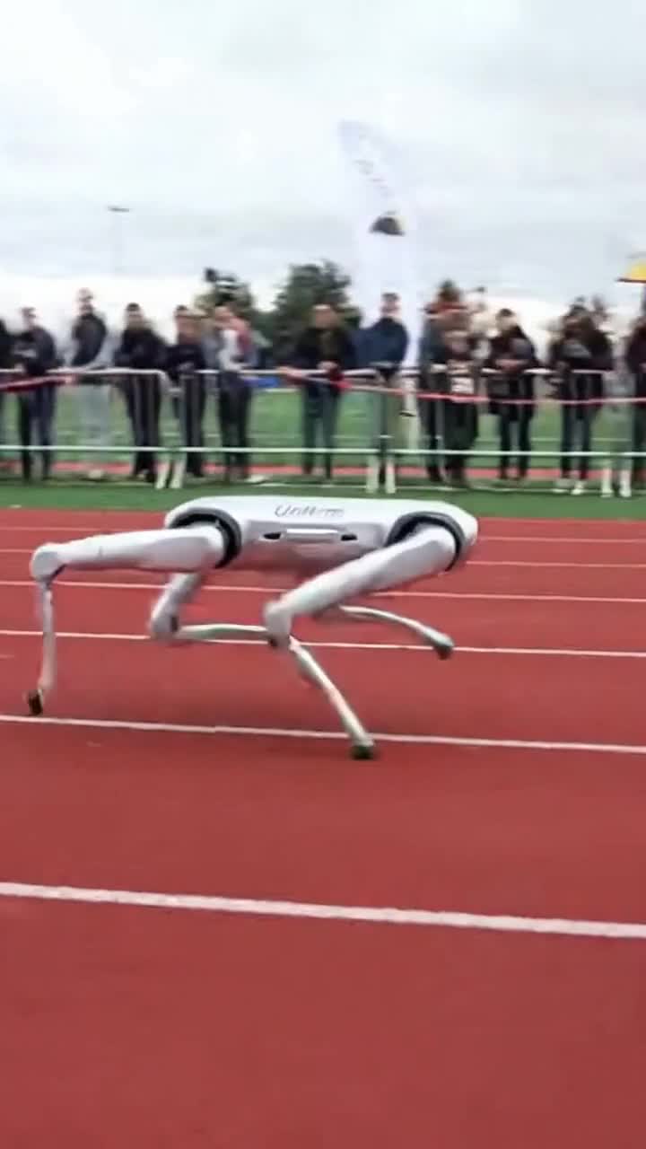 iRobot 😂